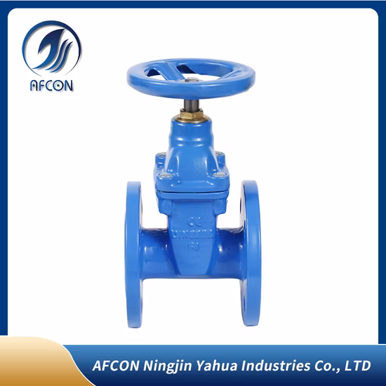 Concentric Lug Type Multi Standard Butterfly Valve for Marine